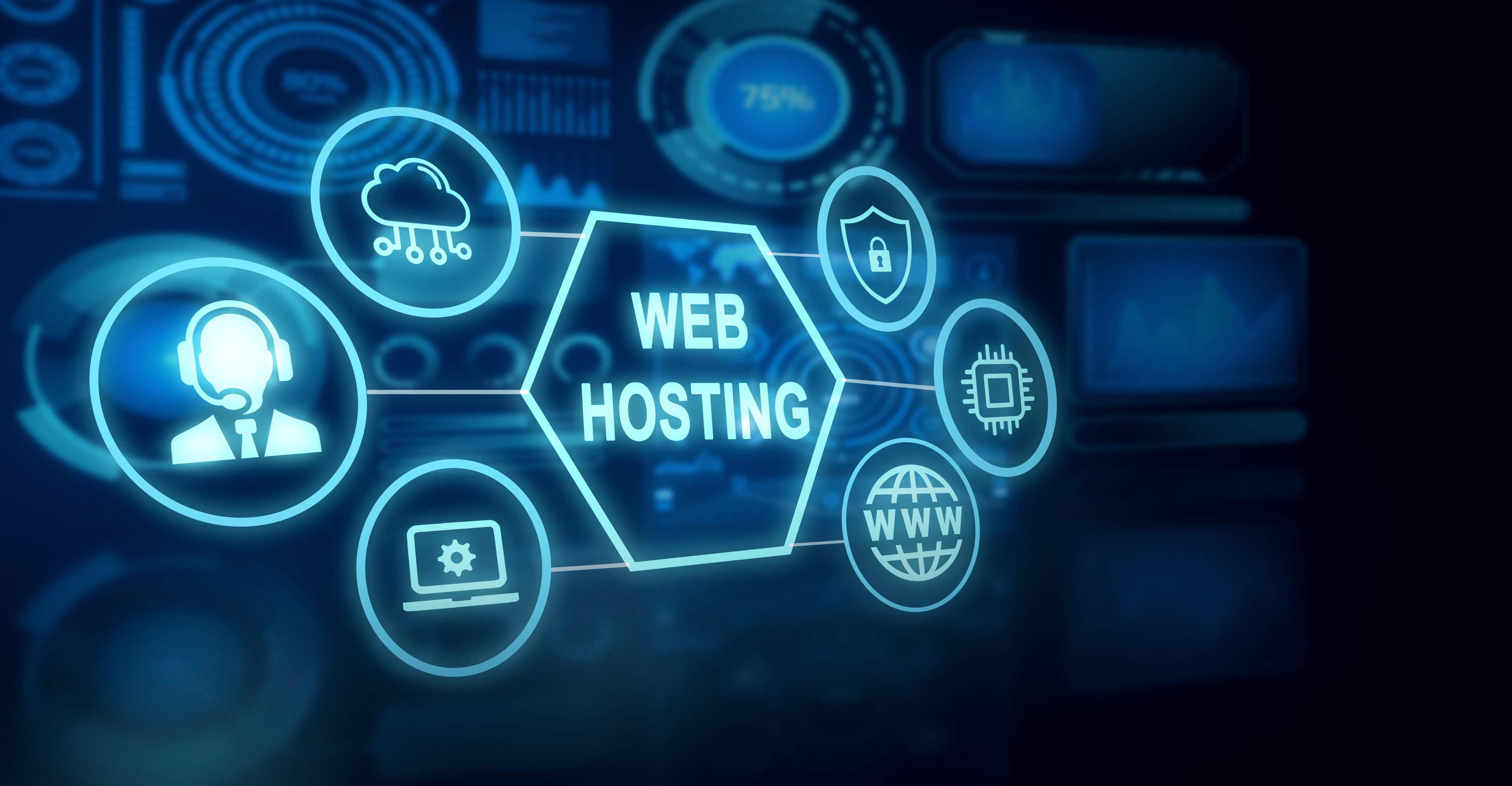 Hosting Profesional